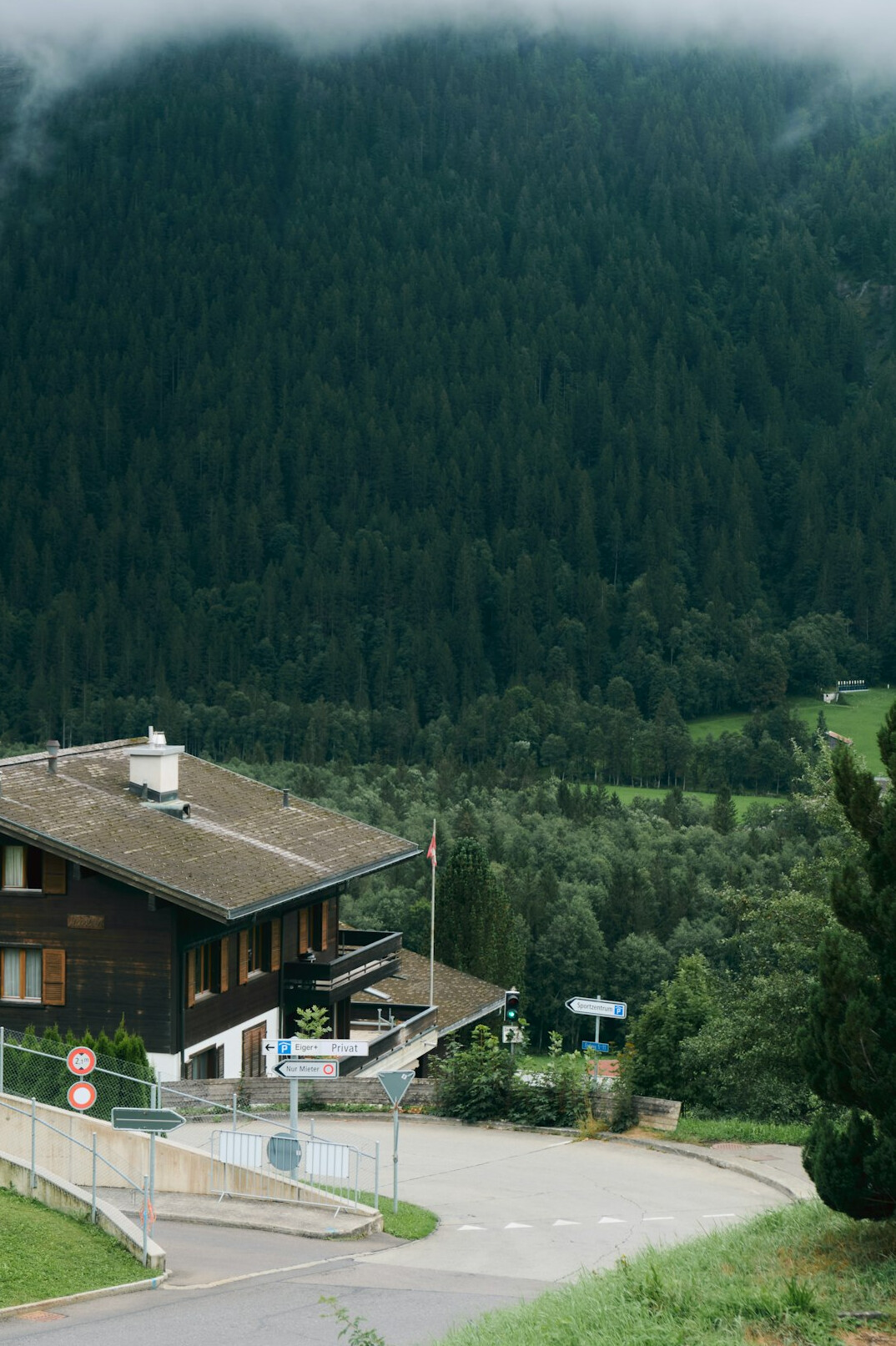modern swiss office with analysts