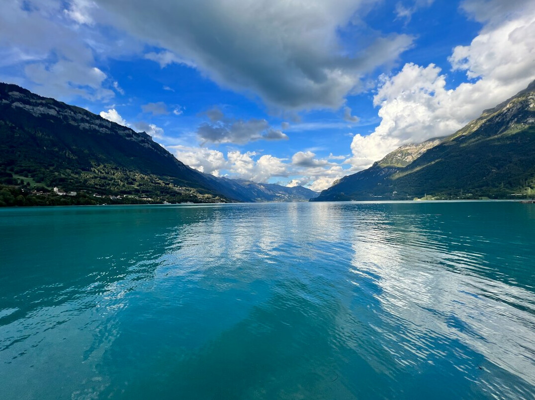 swiss lake pollution